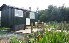 Shepherds Hut On Cornish Smallholding